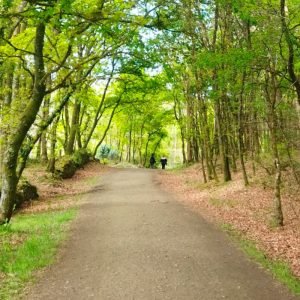 Camino Frances | Sarria - Santiago