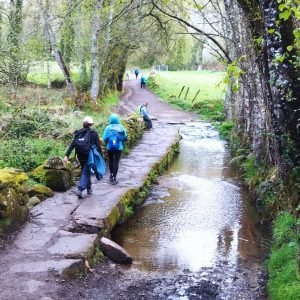Camino Francés en Grupo
