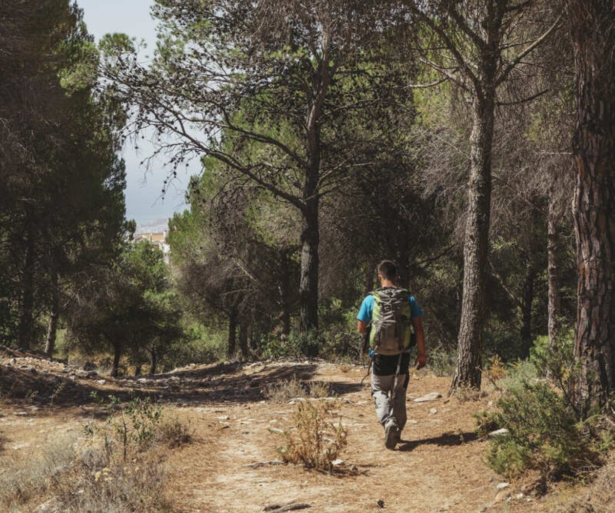 Camino Via De La Plata - Ourense - Santiago 105 KM