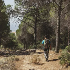 Camino Via de la Plata