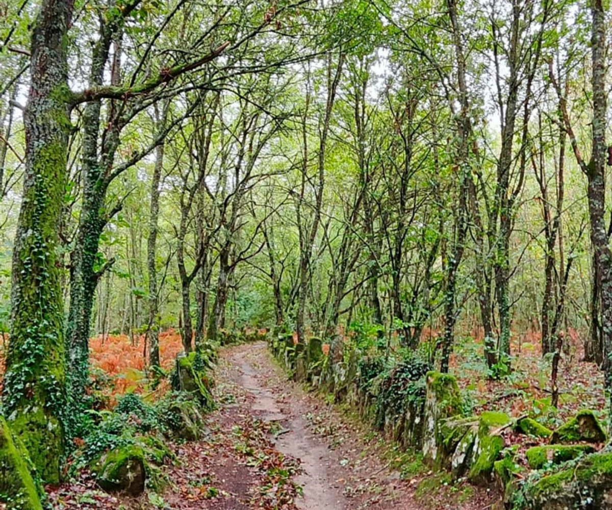 Camino de Invierno Ponferrada