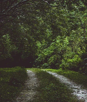 Camino de Santiago en 15 dias